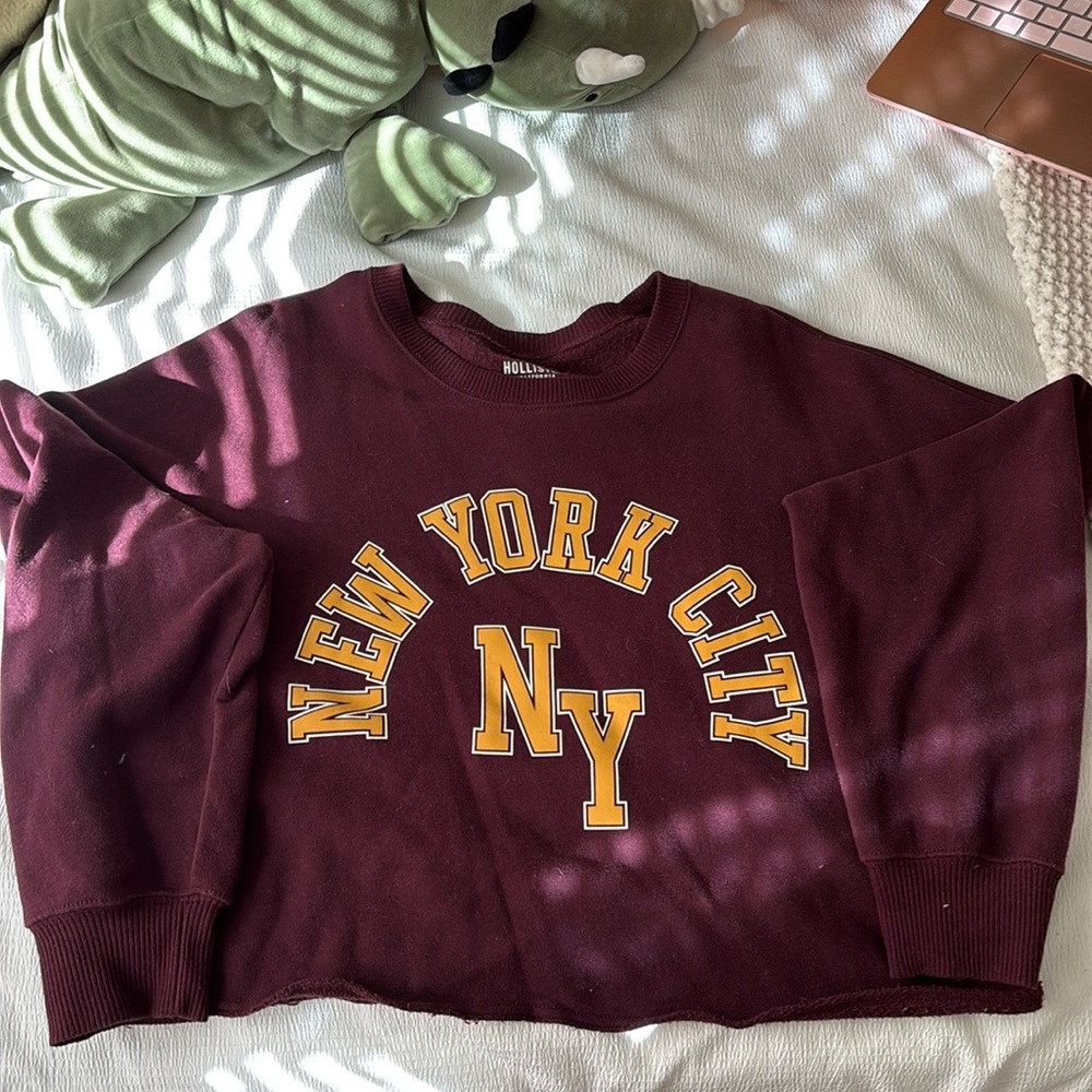 Hollister cropped NYC crewneck